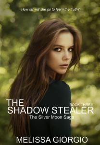 The Shadow Stealer (Medium)